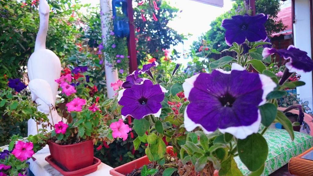 Hostal El Parque Табабела Екстериор снимка