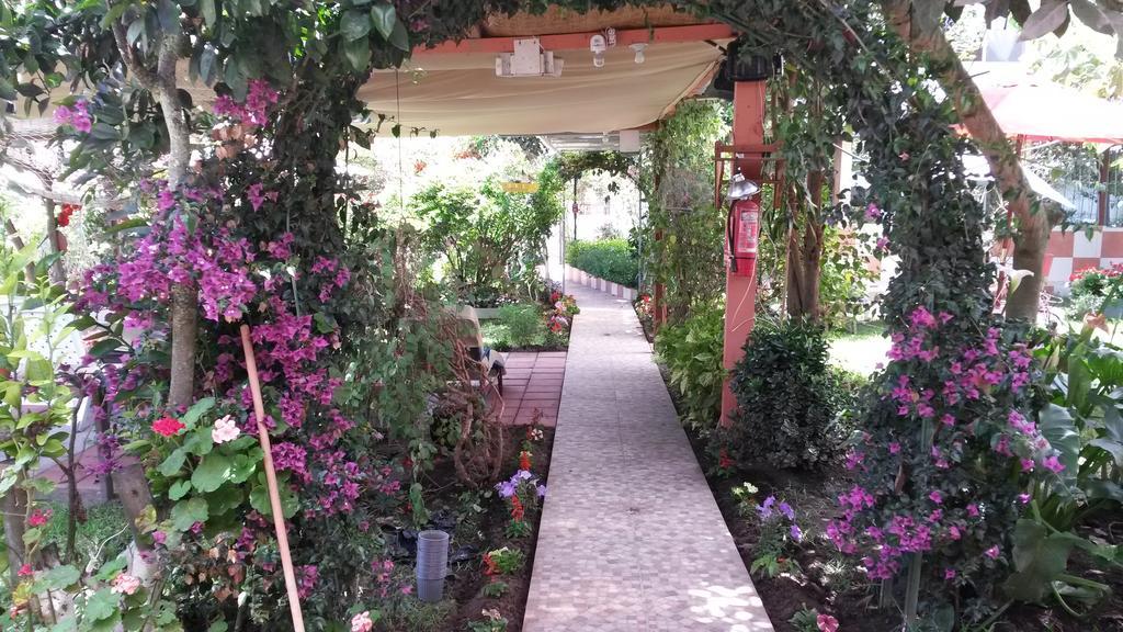 Hostal El Parque Табабела Екстериор снимка