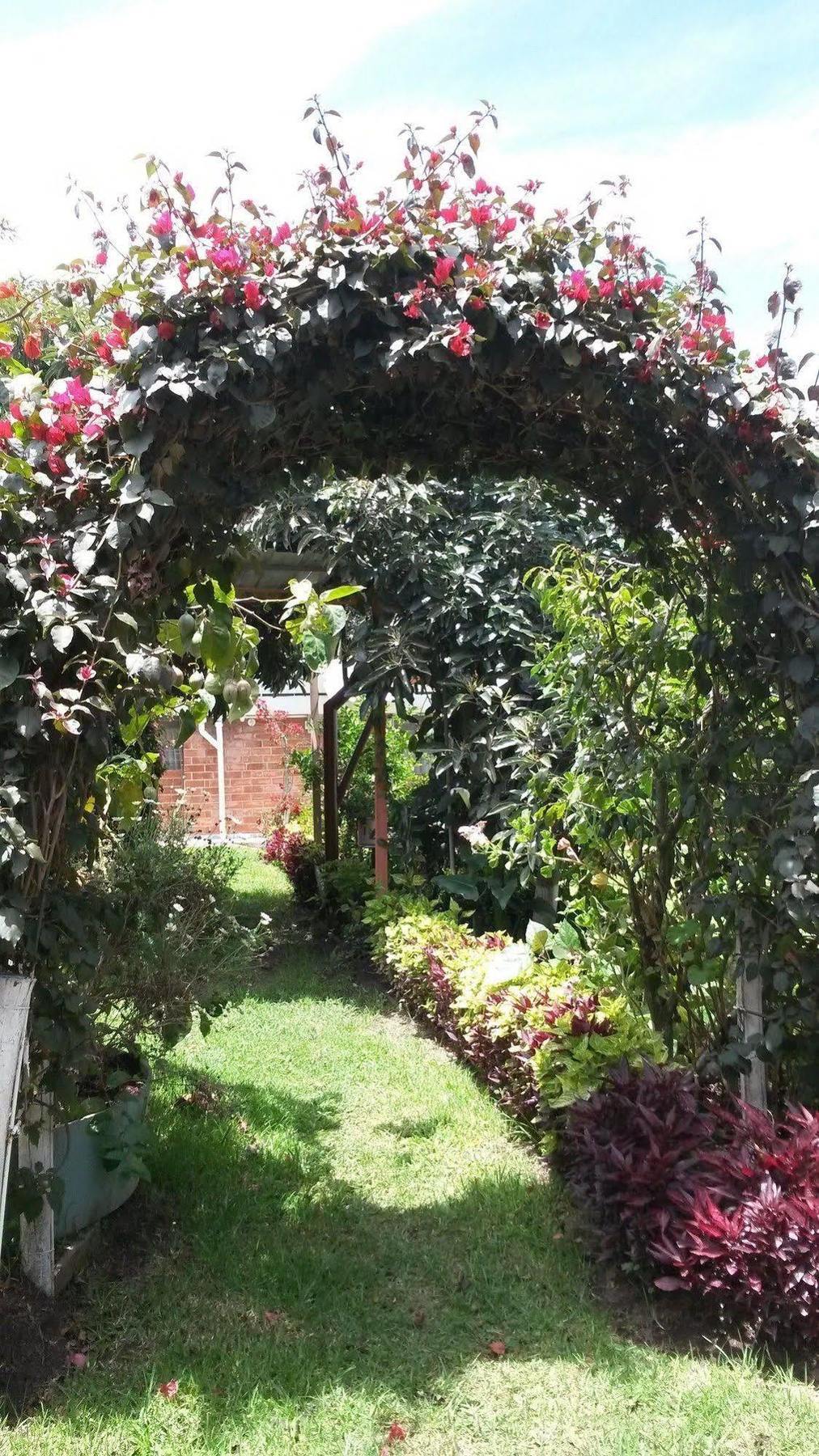 Hostal El Parque Табабела Екстериор снимка